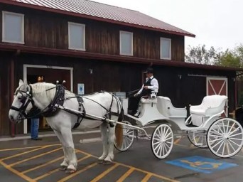 a person riding a horse drawn carriage