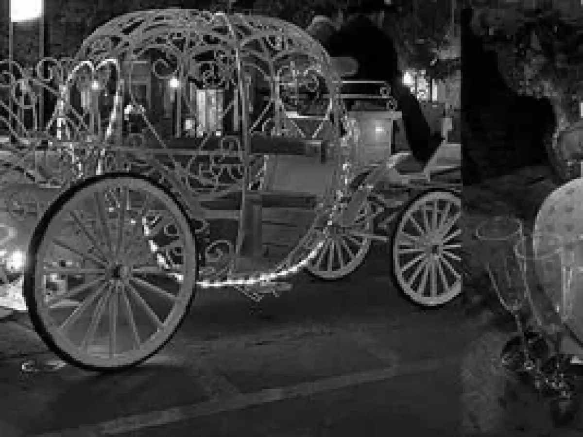 a close up of a horse drawn carriage
