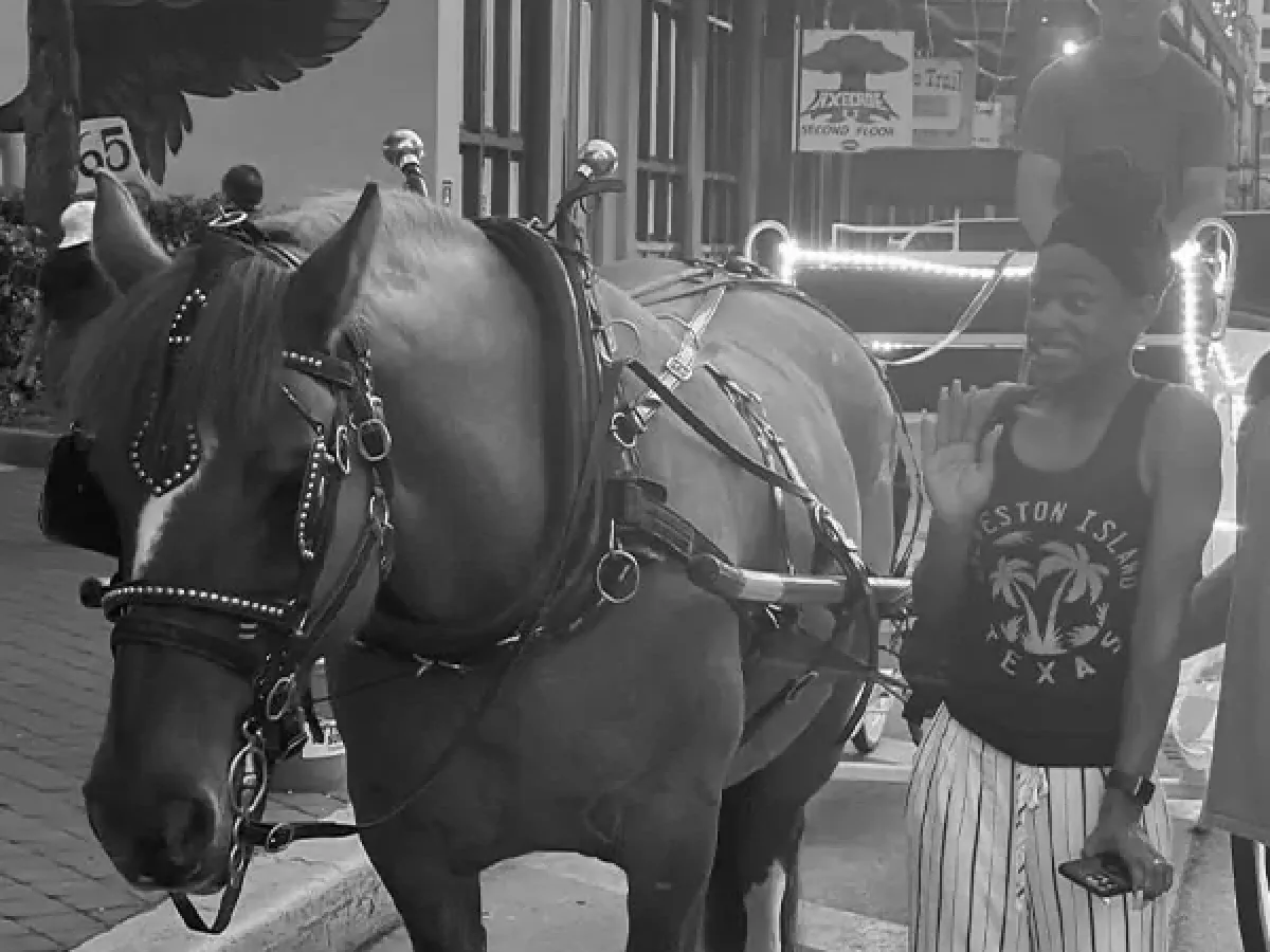 a couple of people that are standing in front of a horse