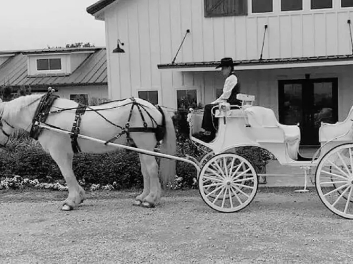a horse drawn carriage in front of a house