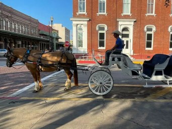 a close up of a horse drawn carriage on a city street