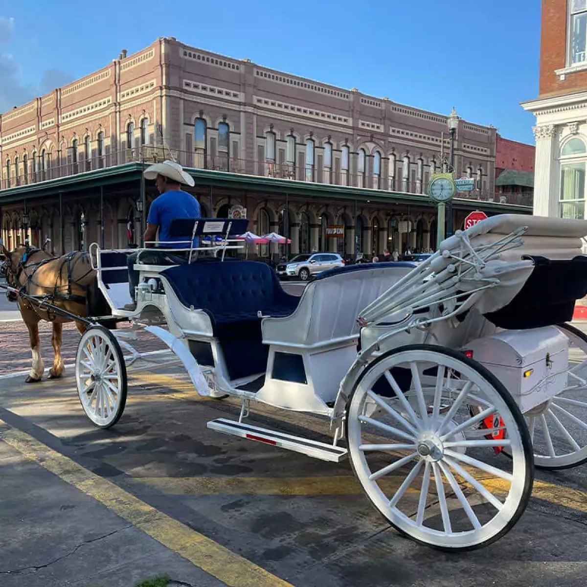 a man riding a horse drawn carriage in front of a building