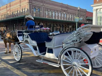 a man riding a horse drawn carriage in front of a building