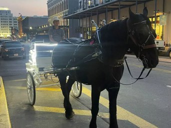 a person riding a horse drawn carriage on a city street