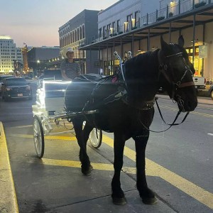 a person riding a horse drawn carriage on a city street