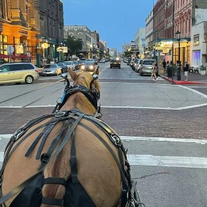 a bicycle parked on a city street