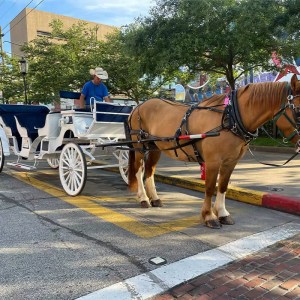 a man riding a horse drawn carriage