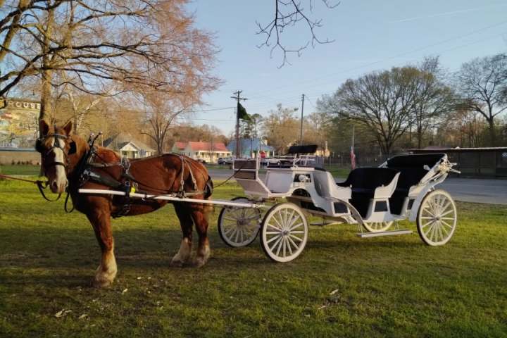 a person riding a horse drawn carriage